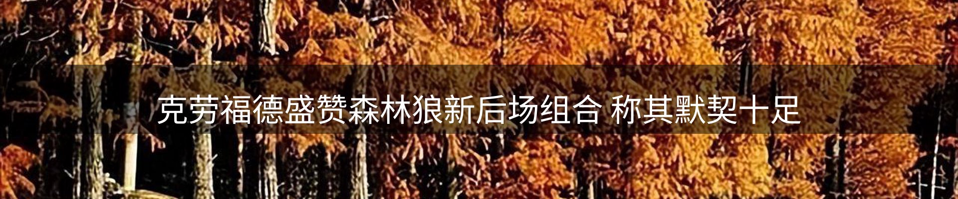 新闻动态