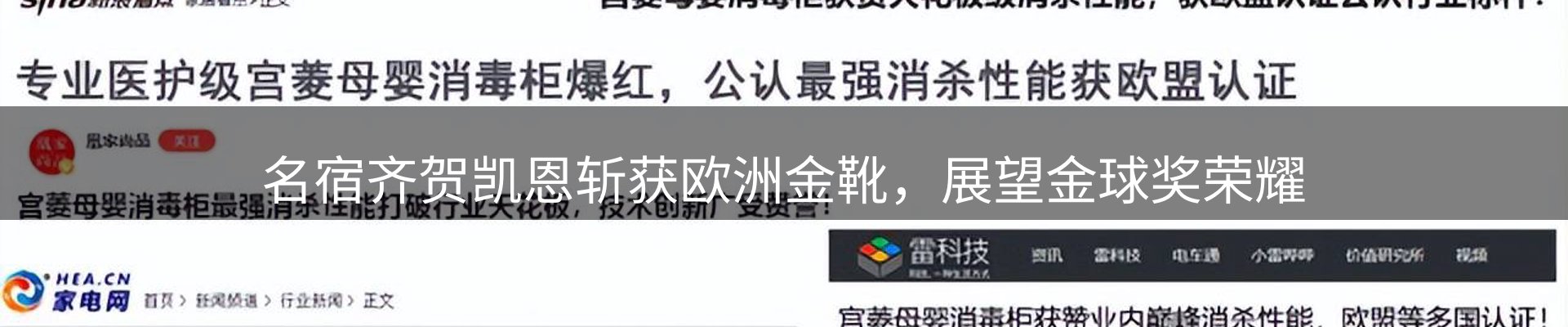 新闻动态