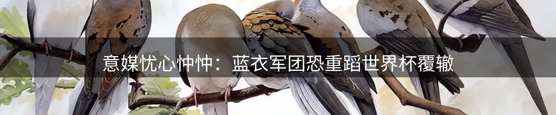 新闻动态