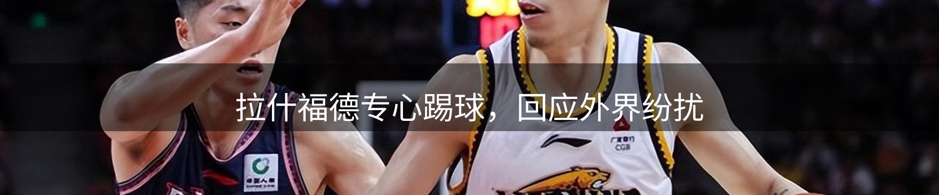 新闻动态